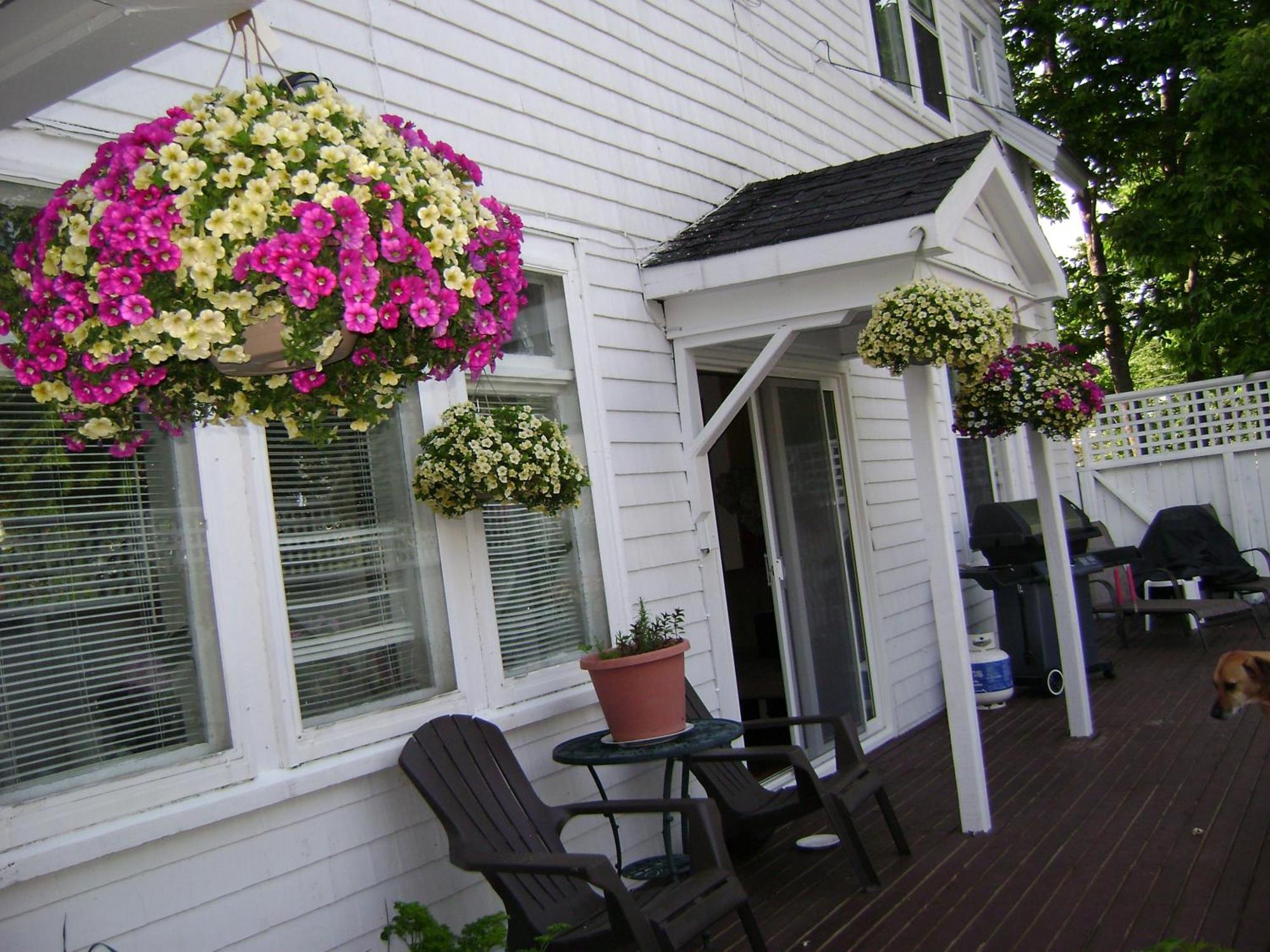 Lakelawn B&B And Motel ยาร์เมาธ์ ภายนอก รูปภาพ